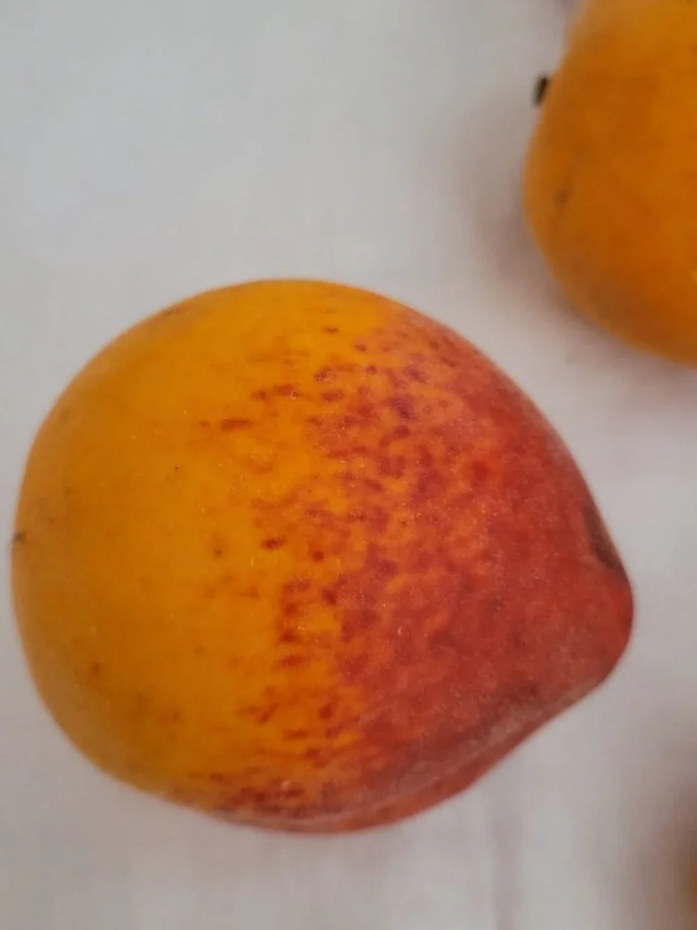 Faux Fruit LOT of 15 realistic pears lemons grapes berries squash peaches stage